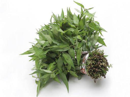 Rau răm ở Việt Nam 2.000 đồng/mớ, sang nước ngoài 250.000 đồng/mớ, còn ...