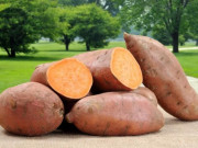 Nhà đẹp - Cách trồng khoai lang từ củ bằng thủy sinh, trong chậu tại nhà