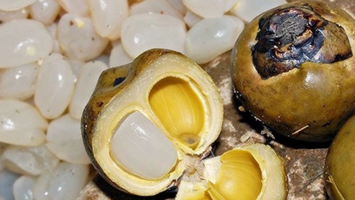 Loại cây dại xưa không ai ngó ngàng, tách hạt ra thành đặc sản khiến chị em phát sốt - 3