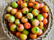 Xem ăn chơi - Đặc sản Tiền Giang có giá 70.000 đồng/kg, ai cũng thích mua về thưởng thức, kể cả người nước ngoài
