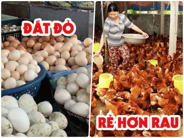 3 nghịch lý của thị trường thực phẩm: Gà rẻ hơn rau, nhưng trứng lại khan hiếm, giá đắt đỏ