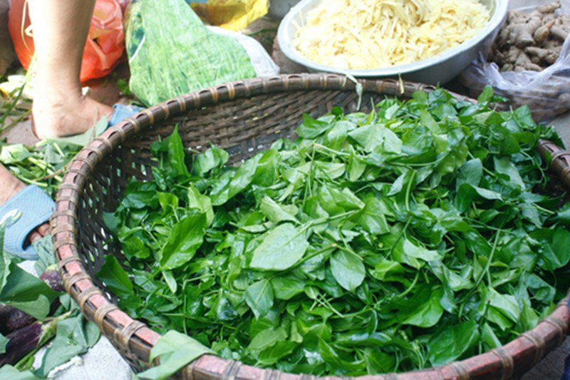Loại cây trồng làm bờ rào, giờ thành đặc sản nức tiếng đất Quảng, ăn vừa ngon vừa ngọt - 2