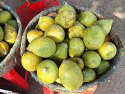 Tiêu dùng - Loại quả lạ trước không ai ngó ngàng, nay là đặc sản bày trên mâm ngũ quả ngày Tết