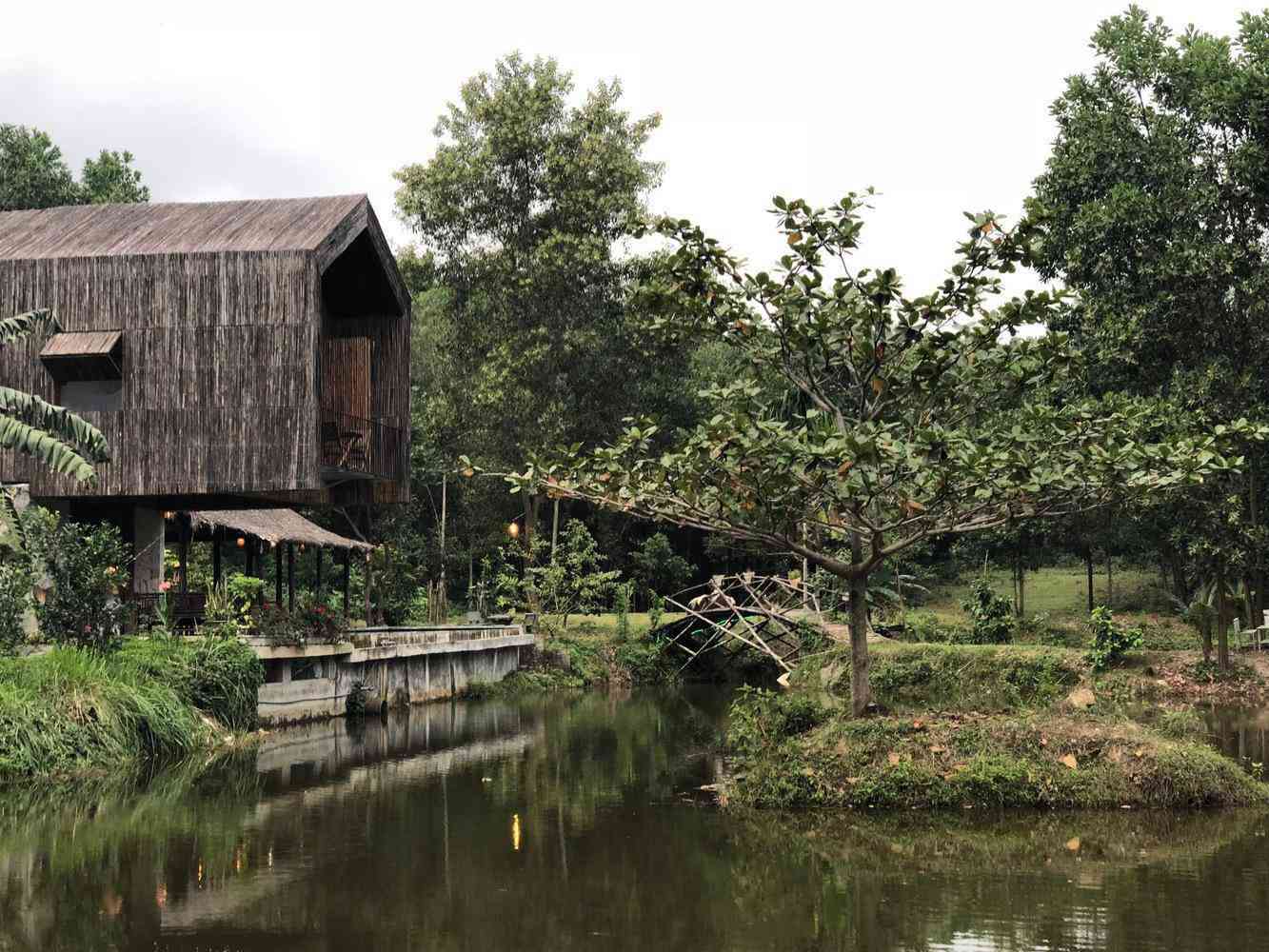 Không có điều hòa, nhà bên hồ ở Đà Nẵng vẫn mát mẻ nhờ lớp vỏ bằng tre - 11
