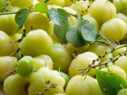 Tiêu dùng - Loại quả dại chua loét mọc quanh bờ rào, nay thành đặc sản bán khắp nơi, nhìn chảy nước miếng