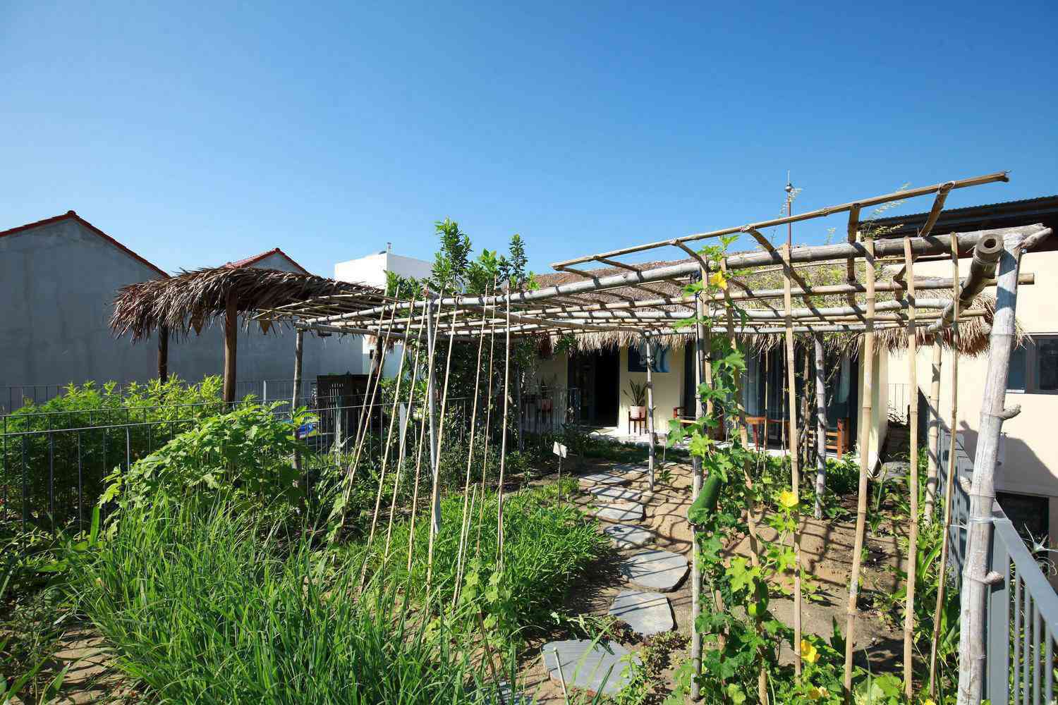 Giữa mùa dịch, gia chủ làm vườn, trồng rau trên mái nhà - 16