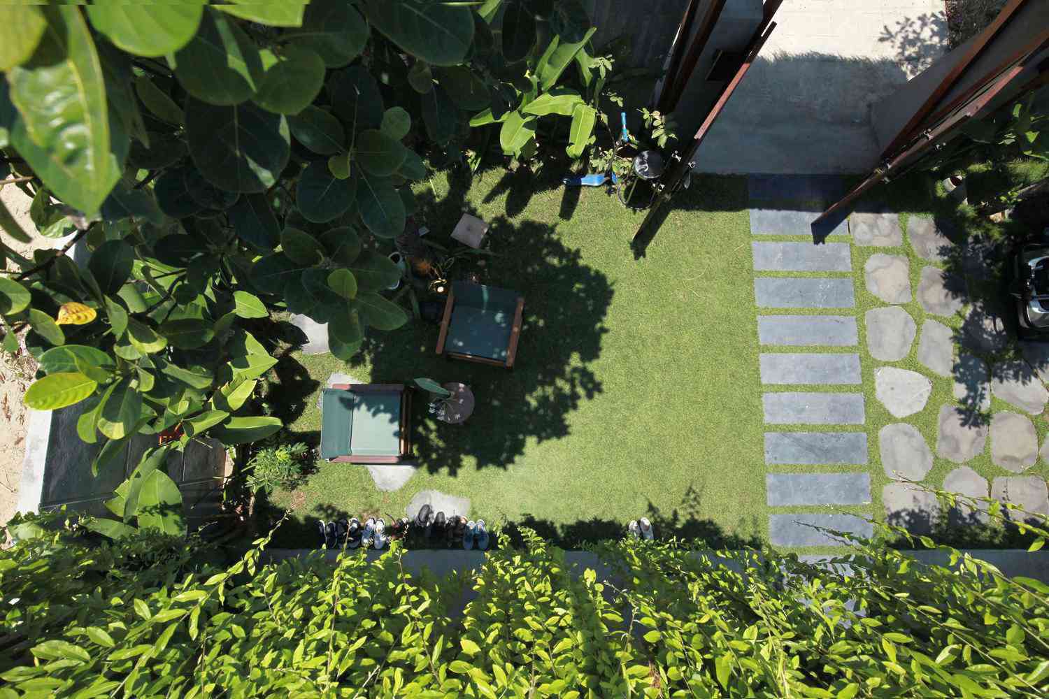 Giữa mùa dịch, gia chủ làm vườn, trồng rau trên mái nhà - 21