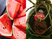 Tin tức - Loại dưa hấu đắt nhất thế giới, có quả lên đến hơn trăm triệu nhưng chuẩn "tiền nào của nấy"
