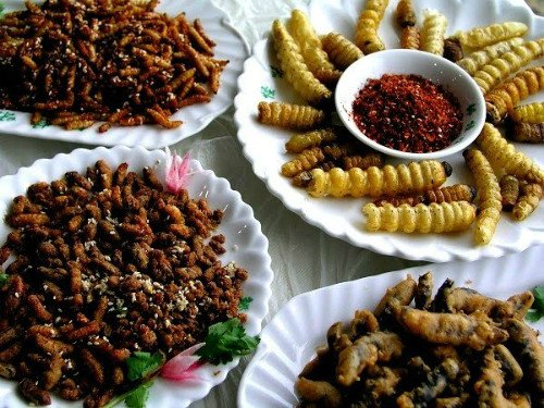 Loi soi sả ớt có vị béo của mỡ loi choi, hương thơm của sả, vị cay của ớt hòa quyện trong mớ thịt dai ngọt.