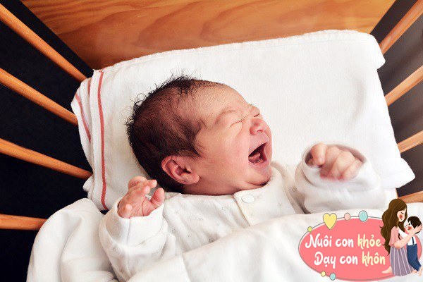 Trẻ hay quấy khóc đêm là tình trạng khá phổ biến đối với trẻ nhỏ trong giai đoạn sơ sinh. Tuy nhiên, tình trạng này trở thành cơn ác mộng của nhiều ông bố bà mẹ. 