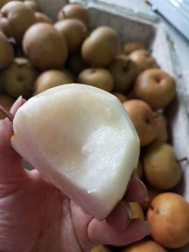 Hiện mắc cọp có giá rất rẻ, chỉ từ 20.000-25.000 đồng/kg.