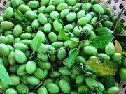 Xem ăn chơi - Đặc sản cà na được chị em "săn lùng"