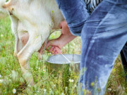 Sức khỏe - Bé trai sốt 2 tháng sau khi uống thứ này, 4 đồ uống độc hại với trẻ nếu lạm dụng