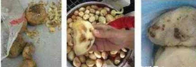 Phần khoai tây dùng để nấu thức ăn đã mọc mầm gần hết, có nhiều củ thậm chí đã hỏng.