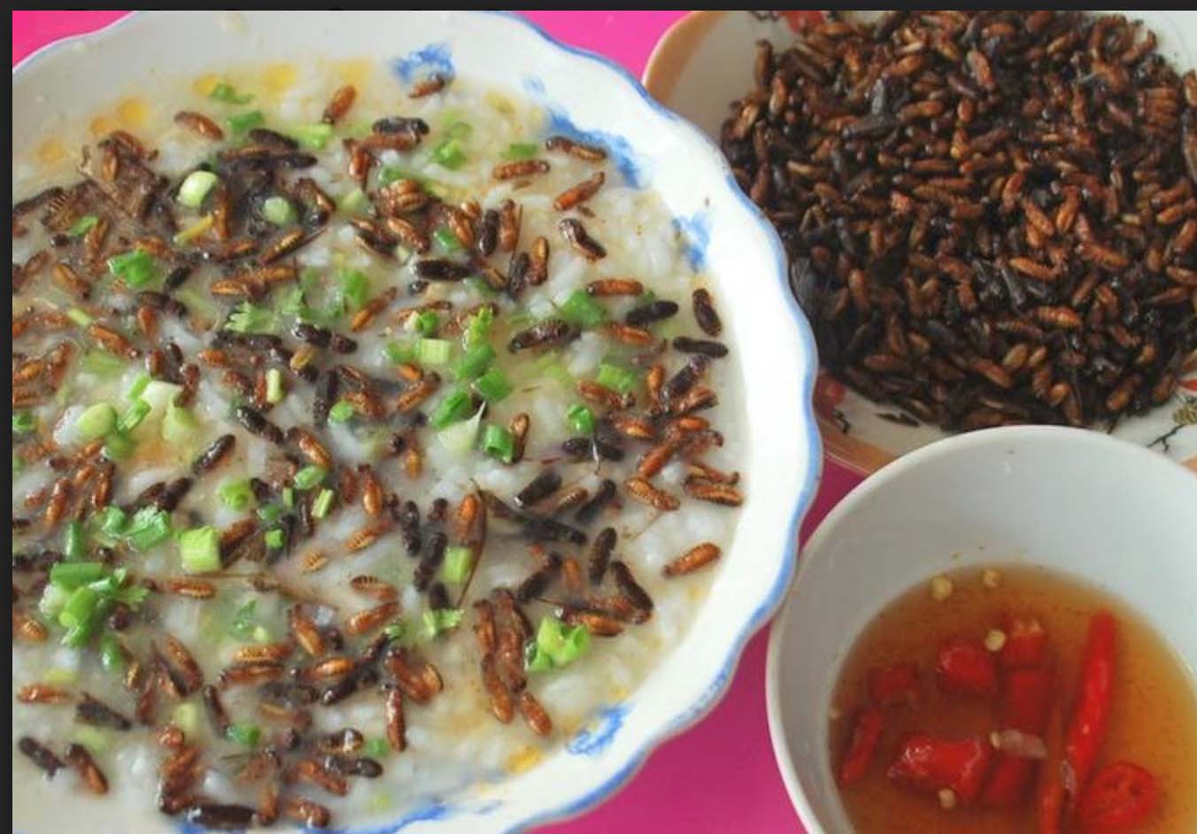 Món ăn nổi tiếng nhất từ mối của người Cơ Tu là cháo mối.