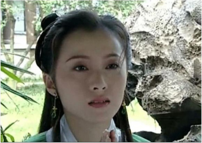 Sau này, Từ Lộ có tham gia một số bộ phim.