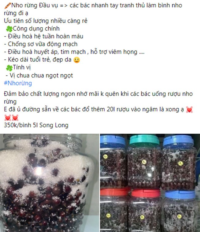 Đến mùa, nho rừng tươi và nho rừng ngâm sẵn được bán nhiều trên chợ mạng