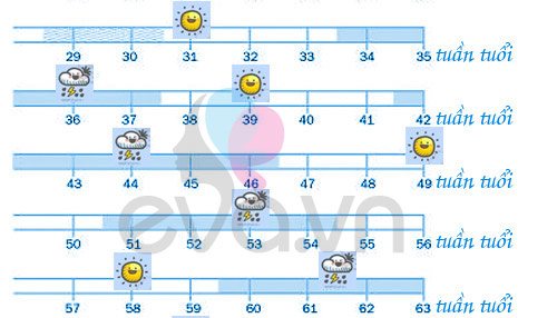 Võ Hạ Trâm tìm mọi cách cùng con vượt qua tuần khủng hoảng: Bé bú quá trời, “rụng nụ” mẹ - 6