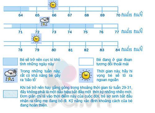 Võ Hạ Trâm tìm mọi cách cùng con vượt qua tuần khủng hoảng: Bé bú quá trời, “rụng nụ” mẹ - 7