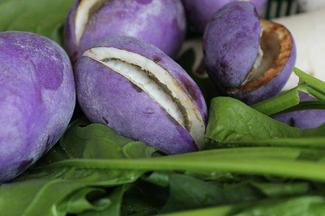 img src/upload/3-2021/images/2021-08-17/1629183016-a818cb45ec74e62e12115416cca4532d.jpeg width660 /