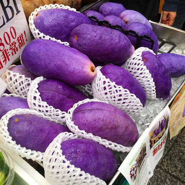 Loại quả amp;#34;tím lịmamp;#34; trông như xoài nhưng bên trong lại giống chuối, thì ra là đặc sản nổi tiếng amp;#34;hiếm có khó tìmamp;#34; - 3