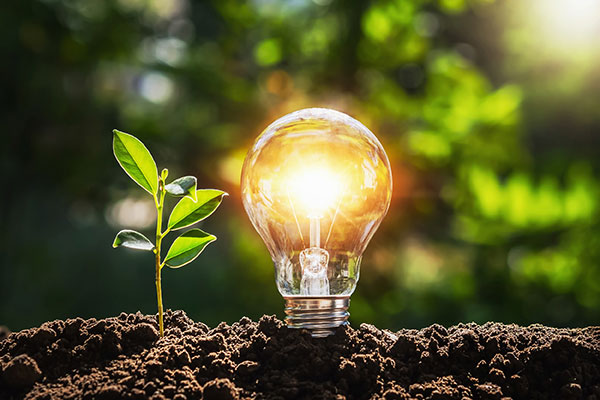 Ai sinh ra cũng là thiên tài: 10 câu hỏi giúp mở khoá tiềm năng của bạn - 3