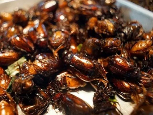 Đặc sản nổi tiếng An Giang, nhìn đã thấy sợ hãi nhưng người giàu muốn thưởng thức phải xếp hàng