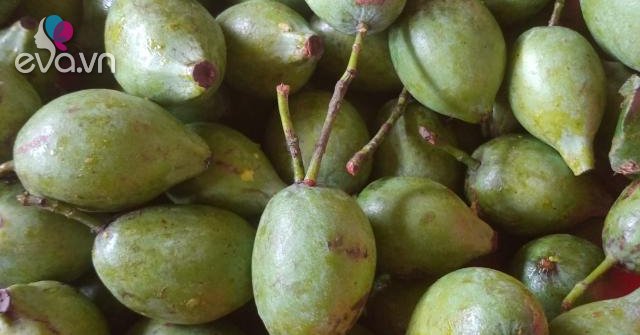 Loại quả xưa chín rụng đầy gốc, ít người biết tên, giờ thành đặc sản lạ ...
