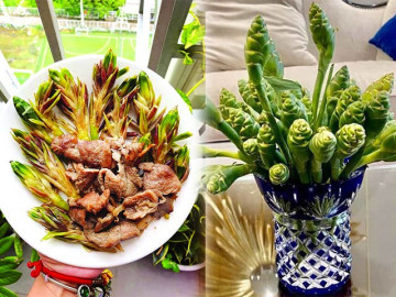 Hoa của loại củ quen thuộc tưởng vứt đi, đem xào vừa giòn vừa ngọt thành đặc sản Tây Bắc