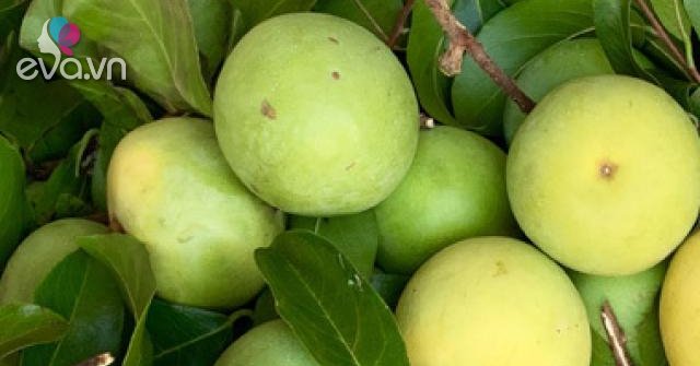 Loại quả quê chín rụng không ai nhặt, nay là thành đặc sản sang chảnh ...
