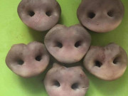 Bà bầu - Chồng khoe vợ bầu thèm ăn món lạ, nhìn vào nồi dân mạng "hết hồn"