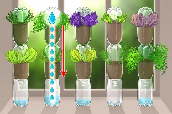 Những cách biến cửa sổ nhà thành khu vườn gia vị, không tốn tiền vẫn có rau ăn - 4