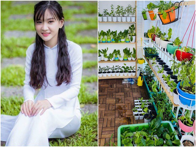 8X Sài Gòn biến 6m2 ban công thành vườn xanh mơn mởn, mùa dịch rau ra nhiều ăn không kịp