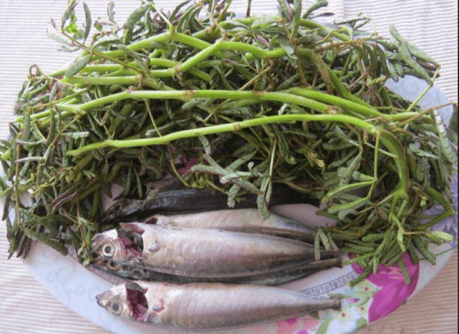 Rau nhút trở thành đặc sản nổi tiếng được nhiều người săn lùng ráo riết