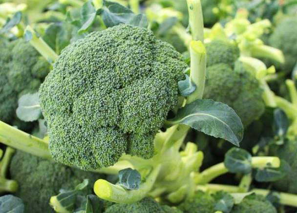 Rau nhiều canxi cho bé phải kể tới súp lơ xanh (Ảnh internet)