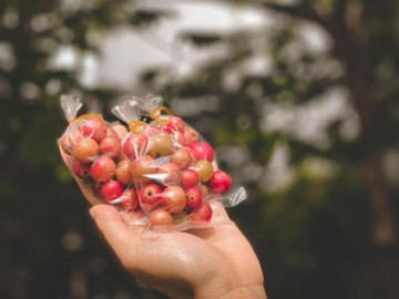 Quả trứng cá được giới trẻ săn lùng ráo riết