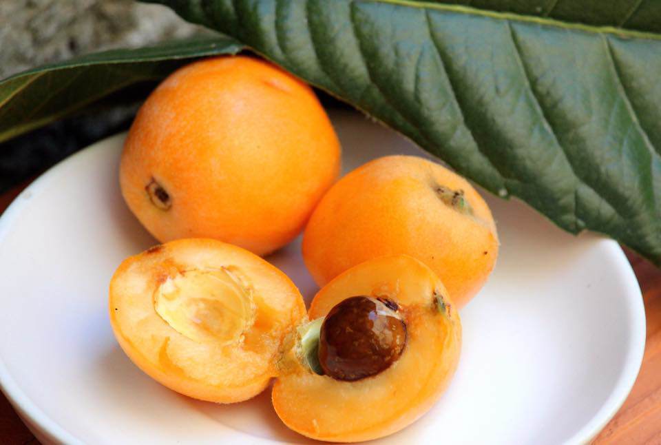 Loại quả rừng vốn không ai để ý bỗng gây sốt vì hương vị ...