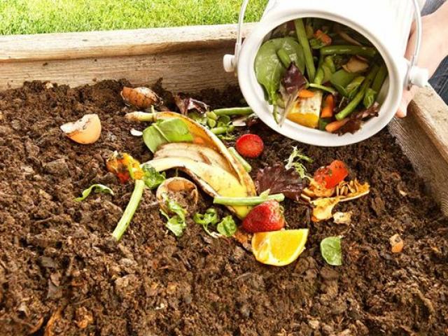 Biến rác thải thành kho báu, mang ra tưới cây tốt vù vù, không cần mua phân bón