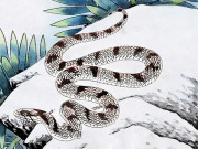 Eva tám - 4 con giáp đi tới đâu cũng có quý nhân soi đường, tương lai rộng mở