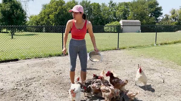 Ca sĩ Hồng Ngọc có vườn hàng nghìn mét vuông tại Mỹ, 2 năm không phải mua trứng gà - 5