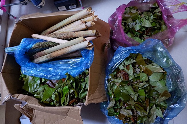 Xưa mọc bạt ngàn không ai thèm hái, nay là đặc sản nổi tiếng 150.000/kg được người giàu amp;#34;săn lùngamp;#34; - 4