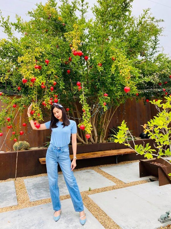 Hoa hậu Dương Mỹ Linh sang Mỹ mát tay trồng trái cây, lựu lúc lỉu đỏ rực một góc vườn - 3