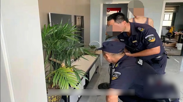 Mua chậu cây cảnh về đặt trong nhà, 1 tháng sau gia đình hoảng hốt khi nhìn xuống đáy chậu - 4