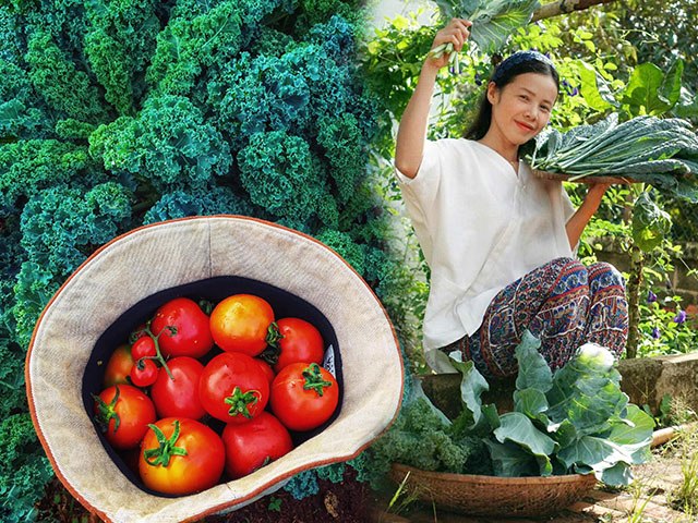 Cầm 200 triệu đồng bỏ phố về quê, 9X thành nông dân chăm vườn rau trái ai nhìn cũng mê