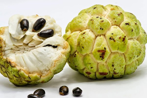 Khi ăn na tránh cắn vỡ hạt na sẽ rất độc. (Ảnh minh họa)