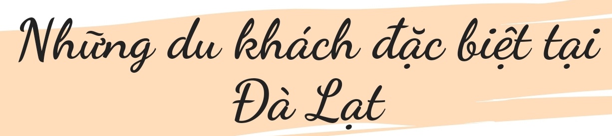 Bỏ hàng chục triệu du lịch xuyên Việt, chàng hotboy 9X kẹt lại Đà Lạt 2 tháng vì dịch bệnh - 1
