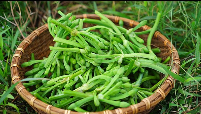 Kèo nèo từ lâu đã trở thành món ăn dân dã của người dân vùng sông nước Nam Bộ