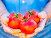 Mẹo hay nhà bếp - Mua cà chua đừng nắn bóp, hãy nhớ 5 điều này yên tâm chọn được quả ngon, chín tự nhiên