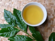 Sức khỏe - Tác hại của lá vối là gì? Uống lá vối có hại thận, yếu sinh lý như nhiều người lo?