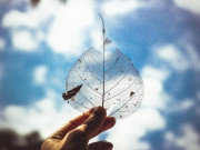 7 điều nhất định phải nhớ khi bạn cảm thấy bất lực